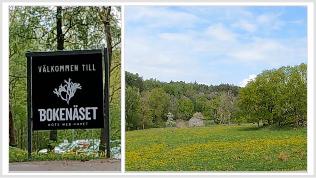 Kollage bestående av två bilder: till vänster, entréskylten till Bokenäset Hotell & Konferens; till höger, en blommande sommaräng i närheten.