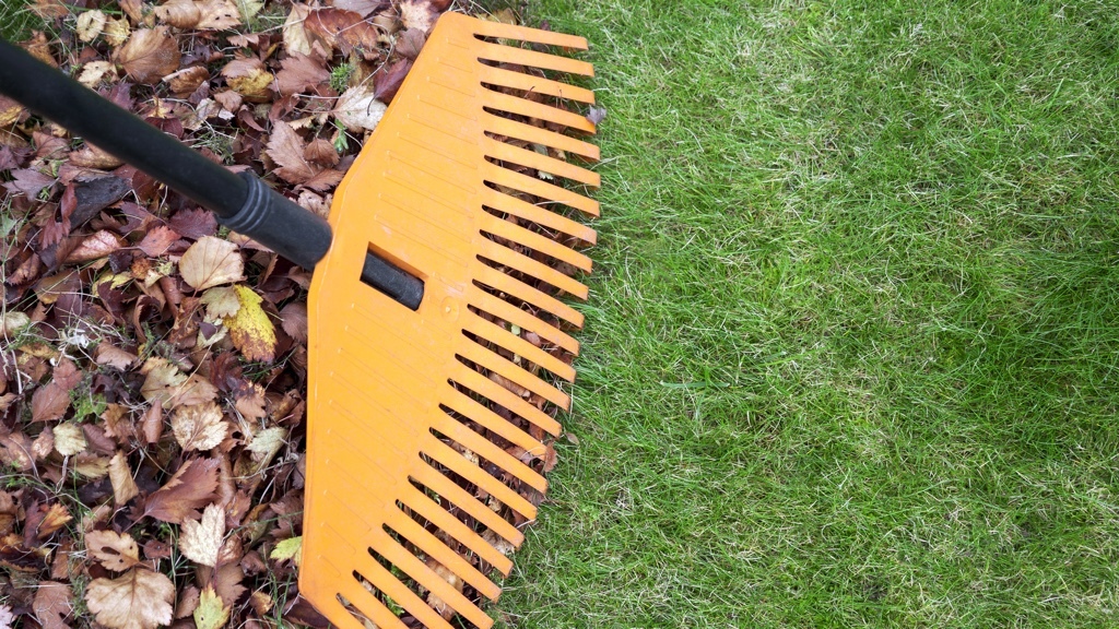 A yellow garden rake rakes together a pile of leaves from a green lawn.