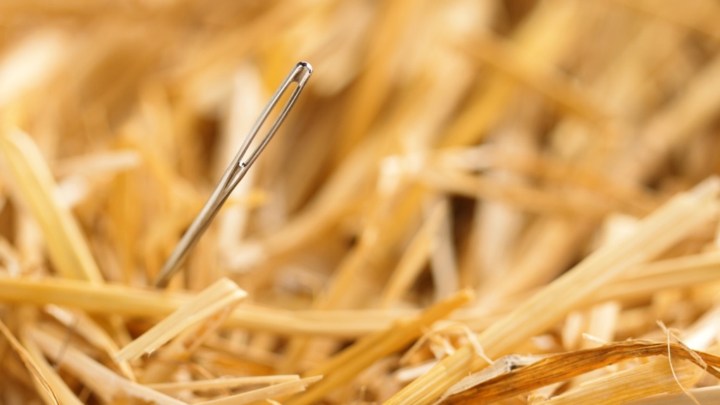 Close-up of a needle in a hay stack.
