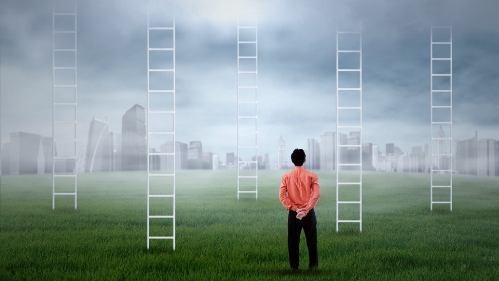 A person stands in a grassy field looking at multiple ladders rising into a cloudy sky over a faint cityscape.