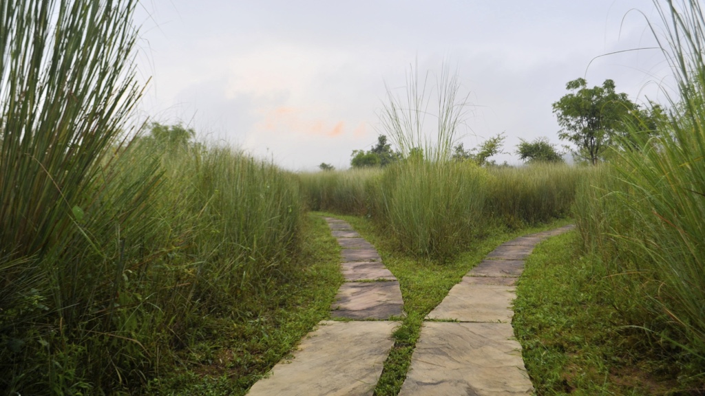 Two stone paths diverge in a grassy field, inviting a choice of direction.