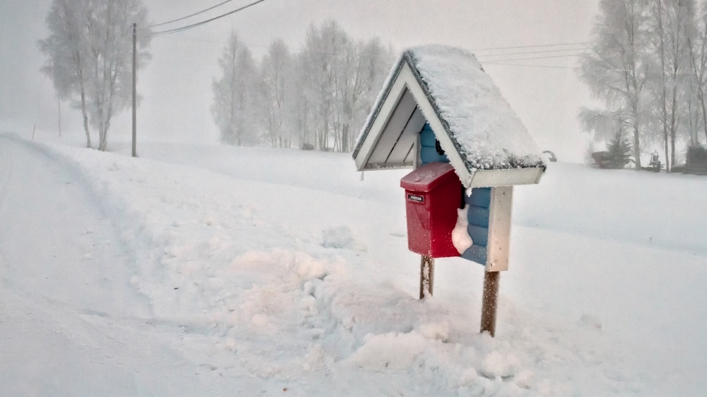 A red mailbox with a roof for protection stands in a snowy, rural winter landscape surrounded by frost-covered trees.