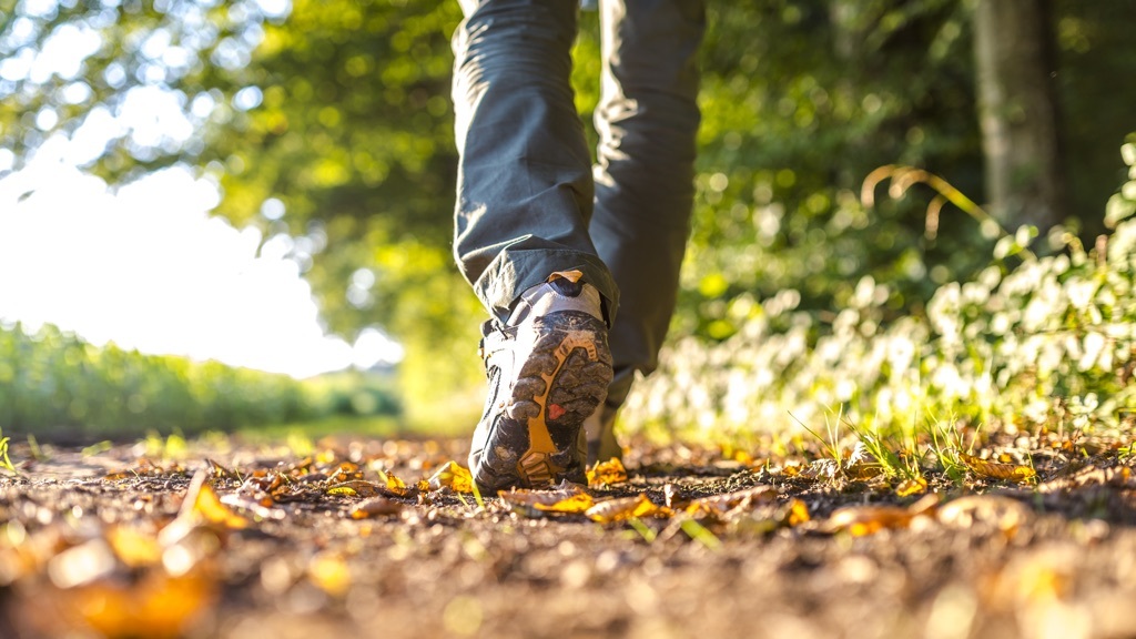 A person wearing hiking shoes is walking along a sunlit forest path covered with leaves.