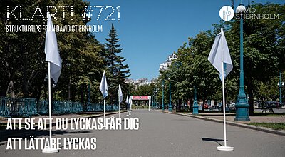 Vita flaggor kantar en solig löpbana i en stadspark och leder mot en rödvit målgångsbanner i fjärran.