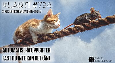 En katt och en råtta går på ett tjockt rep högt uppe i luften, där katten försiktigt följer råttan tätt i spåren.