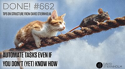 A cat and a rat are walking along a thick rope high up in the air, with the cat cautiously following closely behind the rat.