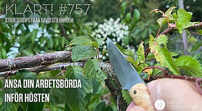 En hand håller en kniv med ett ljust handtag mot en trädgren omgiven av gröna löv.