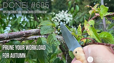 A hand is holding a knife with a light-colored handle against a tree branch surrounded by green leaves.