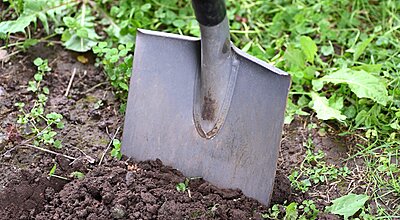 A shovel half shoved into the earth. Behind it - grass.