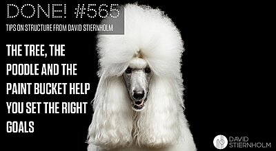 Headshot of a fluffy, white poodle against a pitch black background.