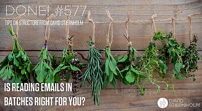 Various fresh herbs are tied and hanging to dry against a wooden backdrop.