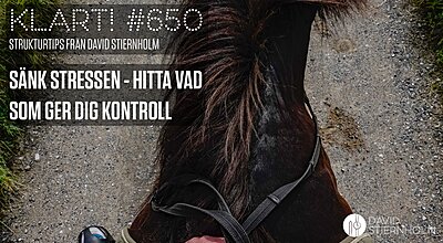 En person rider på en häst, håller i tyglarna, med utsikt över stigen framför.